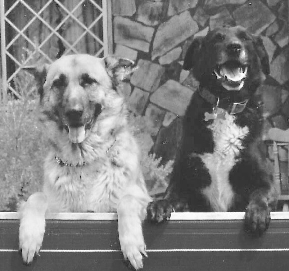 By Giulia [CC BY-SA 2.5 (https:::creativecommons.org:licenses:by-sa:2.5)], from Wikimedia Commons 2